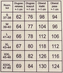 Koszula męska biała z kołnierzem slim fit Stylovy 1962