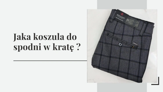 Jaka koszula do spodni w kratę ?